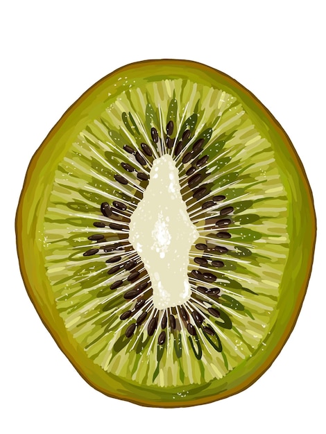 Kiwi verde fatiado