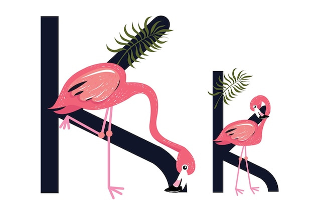 Kk flamingos