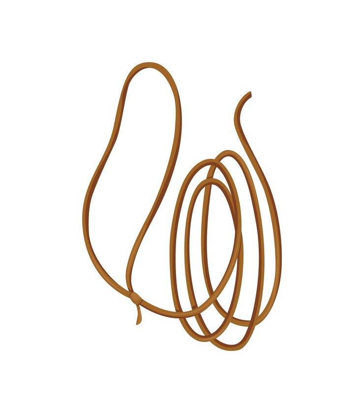 Vetor laço do oeste selvagem. corda de desenho animado em fundo branco