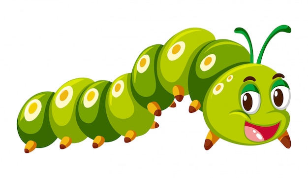 Coleções De Lagartas De Cartoons Larva Verde Conjunto De Lagartas  Ilustração do Vetor - Ilustração de praga, minhoca: 218729407