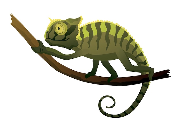 Lagarto camaleão réptil com cauda curva e pele de camuflagem vida selvagem tropical animal exótico fechado