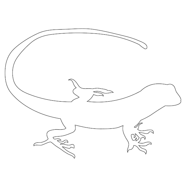 lagarto de contorno isolado de vetor no ícone de fundo branco