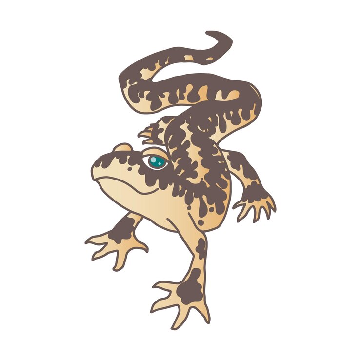 Vetor lagarto lagartixa leopardo vetor isolado desenho de mão