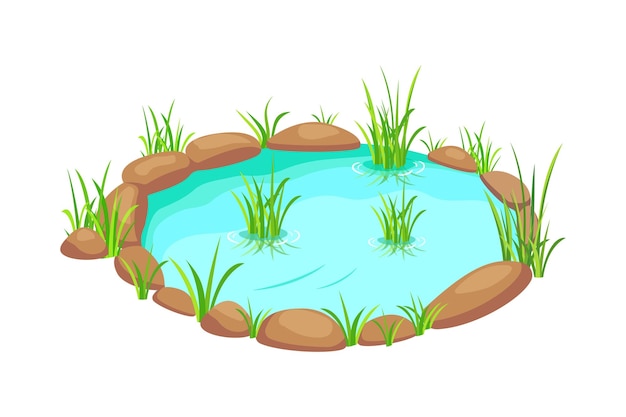 Lagoa com grama na lagoa de fundo branco em ilustração vetorial de pântano estilo cartoon