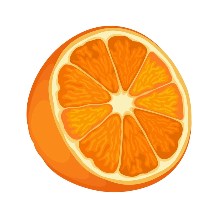 Vetor laranja fruta comida cítrica fresca saudável suculenta ilustração vetorial suco de vitamina laranjas doces