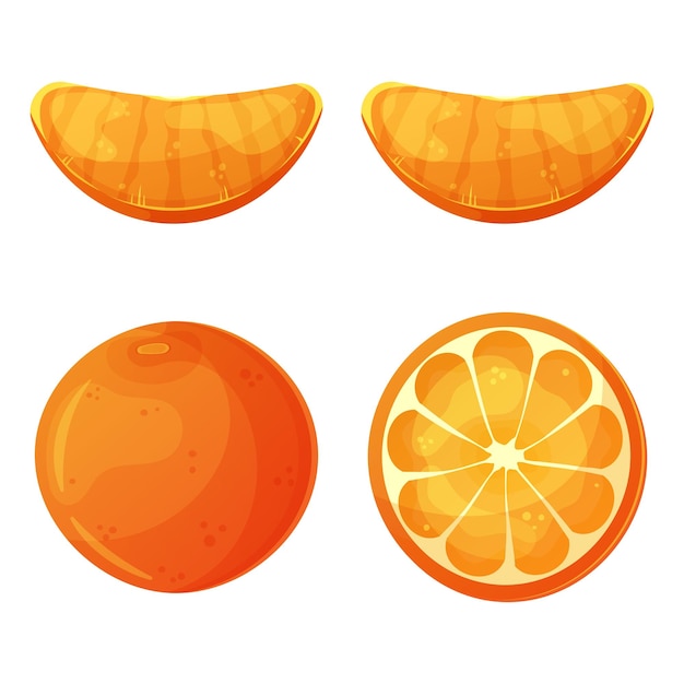 Laranja inteira e fatias de ilustração vetorial de laranja isolada em branco