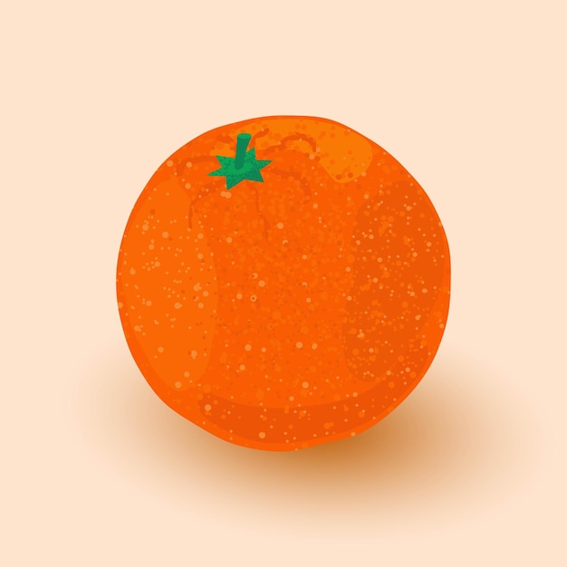 Laranja madura fresca fruta laranja lisa fruta orgânica ilustração vetorial nutrição orgânica natural