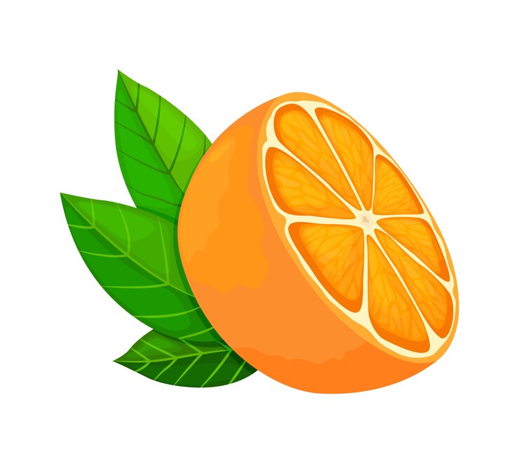 Vetor laranja madura fresca. metade da fruta com folhas. ilustração em um estilo simples.