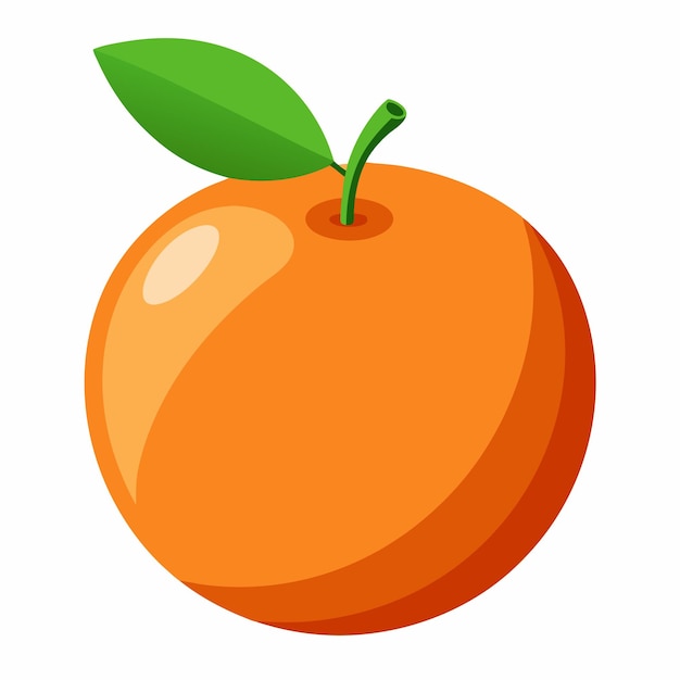 Laranja suculenta Ilustração de frutas refrescantes vetor laranja isolado em fundo branco