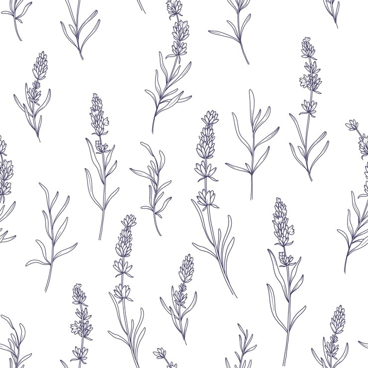 Vetor lavender background lavender line art design de papel de parede botanical line art para impressões de tecido