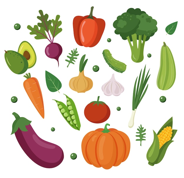 Legumes frescos isolados em um fundo branco Conceito de alimentos saudáveis Mercado agrícola