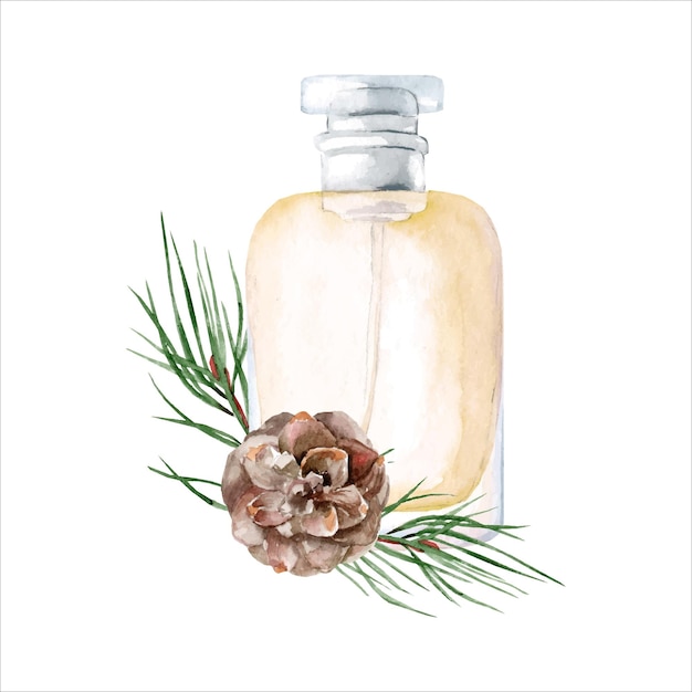 Óleo essencial de coníferas em frasco para massagem relaxante cosmética
