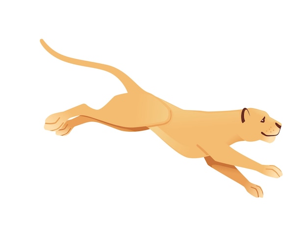 Leoa adulta pulando gato predador selvagem africano leão fêmea desenho de desenho de animal fofo ilustração vetorial plana isolada em fundo branco