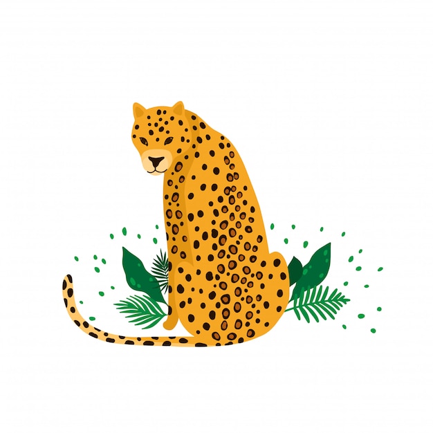 Vetor leopardo isolado em fundo branco