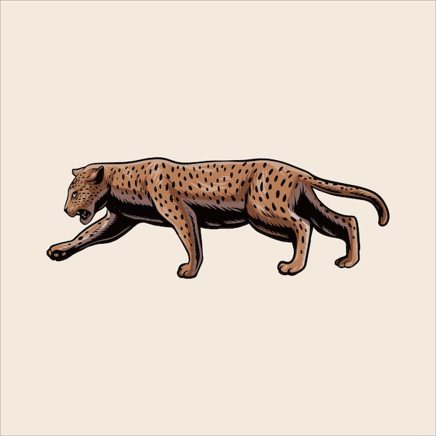 Leopardo