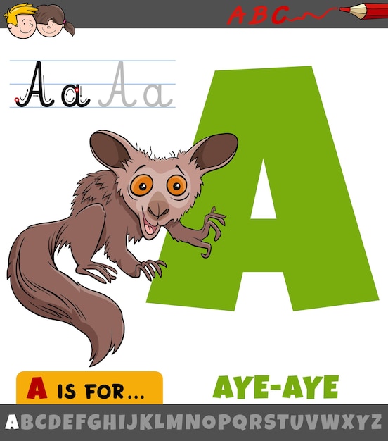 letra A do alfabeto com personagem animal de desenho animado aye-aye