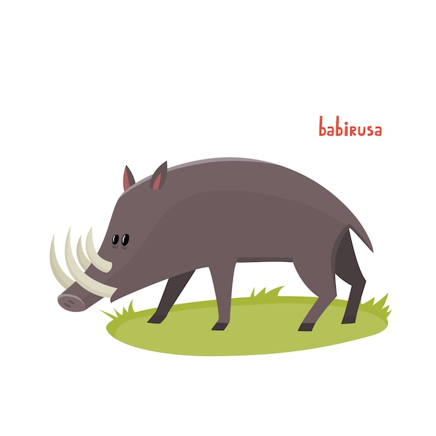 Vetor letra b, ilustração animal babirusa