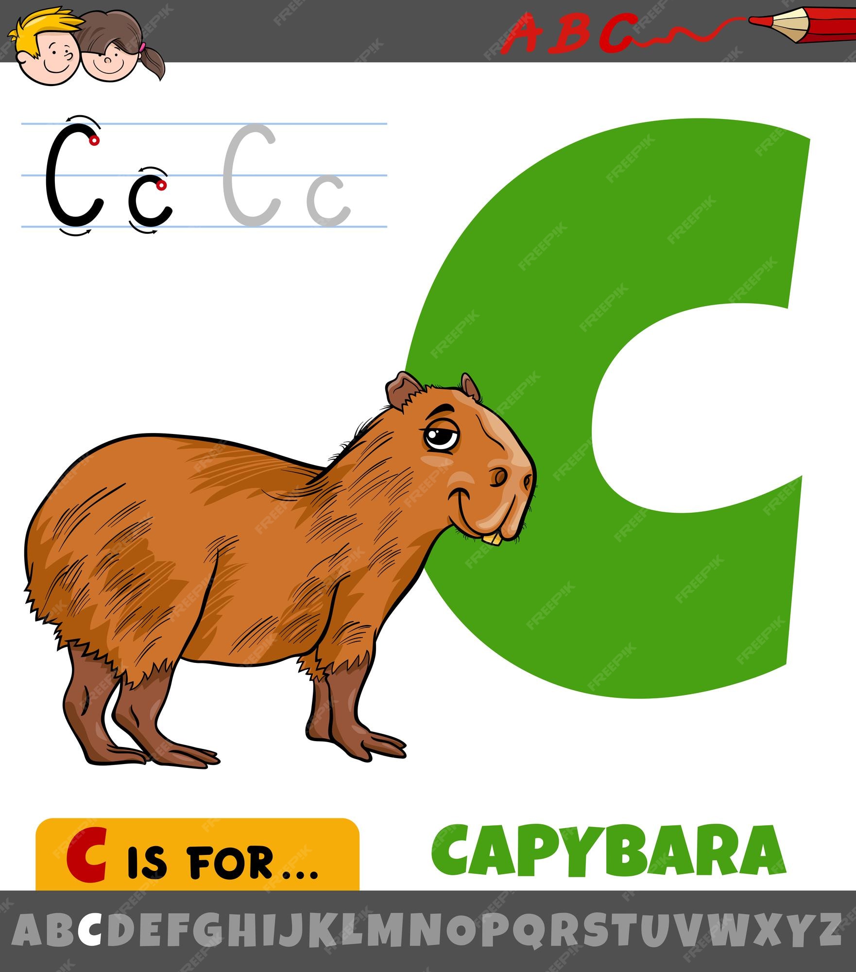 Aprenda a Desenhar uma Capivara a partir da Letra C com este Tutorial  Divertido para Crianças 