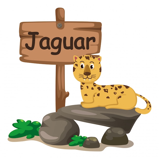 Letra de alfabeto animal j para jaguar