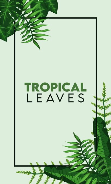 Letras de folhas tropicais com folhas em moldura quadrada