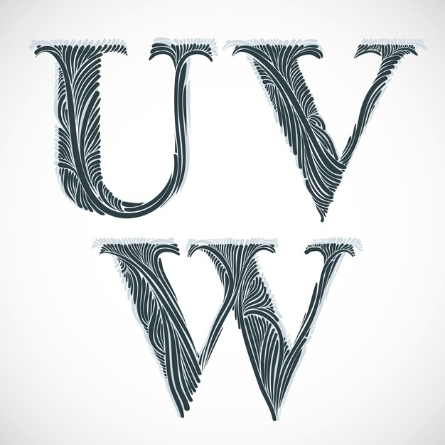 Vetor letras vintage u v w