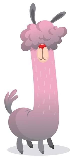 Lhama cartoon alpaca lama animal vector ilustração isolada