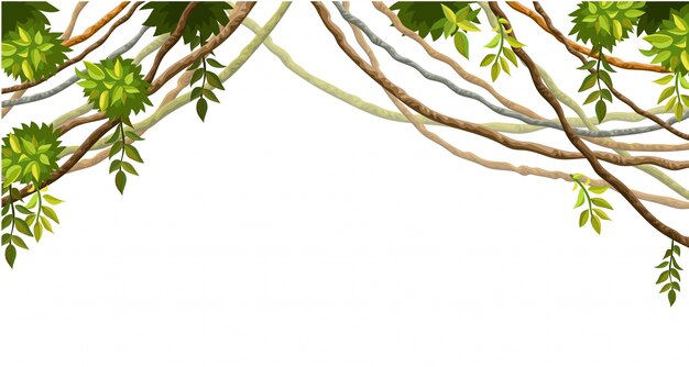Vetor liana ramos e folhas tropicais isoladas