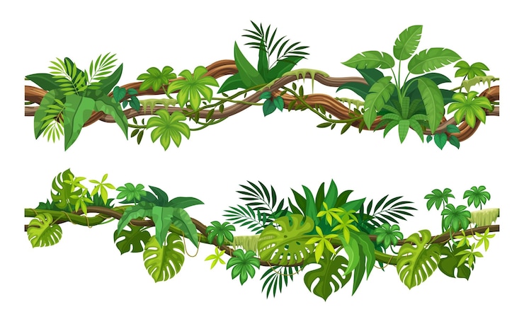Vetor lianas tropicais, vinhas, hera, galhos de plantas da selva
