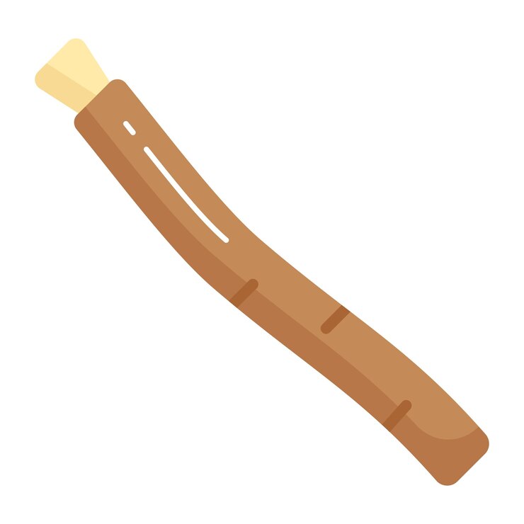 Vetor limpar dentes ramo vetor moderno de miswak em estilo editável