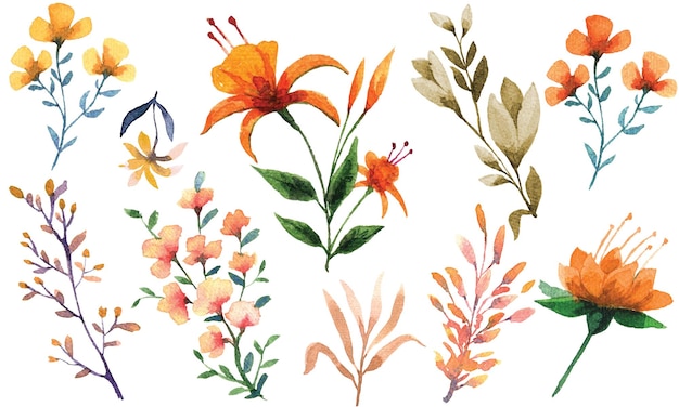 Linda flor colorida em aquarela para design e decoração