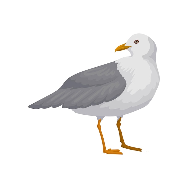 Linda gaivota cinza e branco ilustração vetorial de aves marinhas em um fundo branco