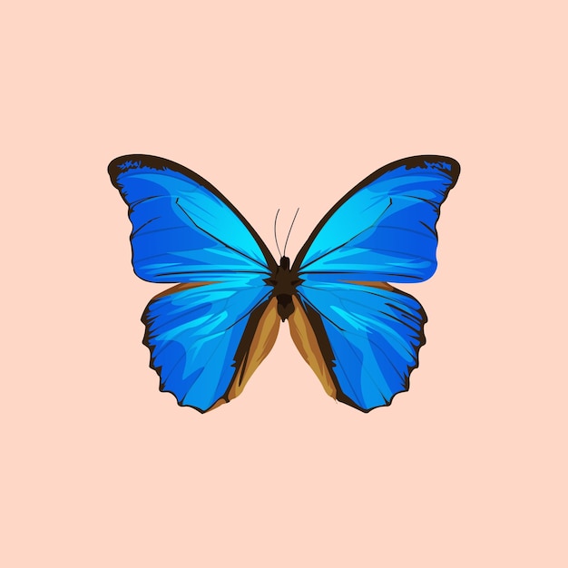 Vetor linda ilustração vetorial de borboleta azul