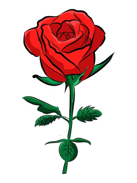 Vetor linda mão desenhando uma única rosa vermelha colorida
