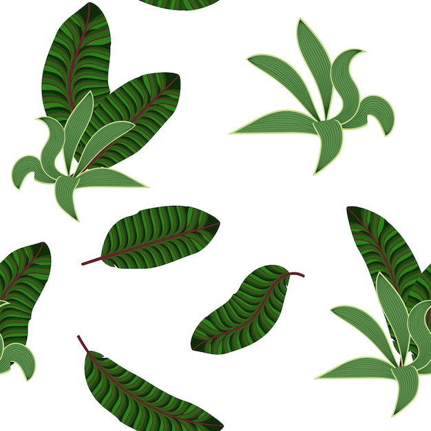 Lindas folhas tropicais Ilustração em vetor sem costura