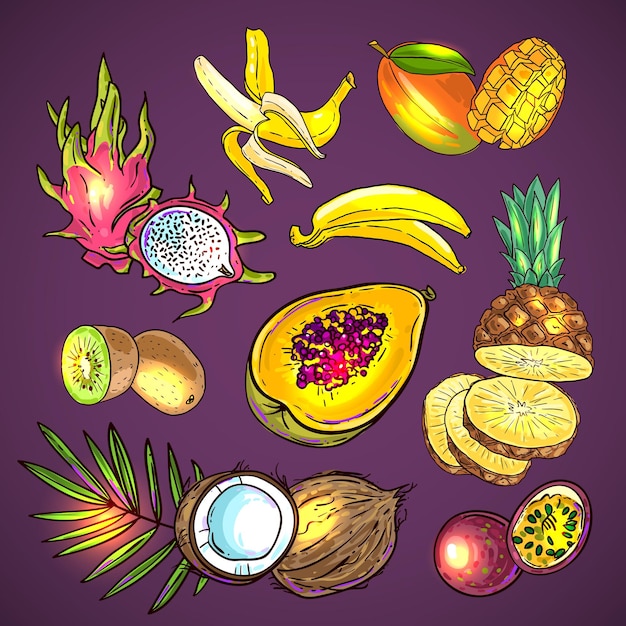 Lindas frutas tropicais vetoriais desenhadas à mão para seu projeto