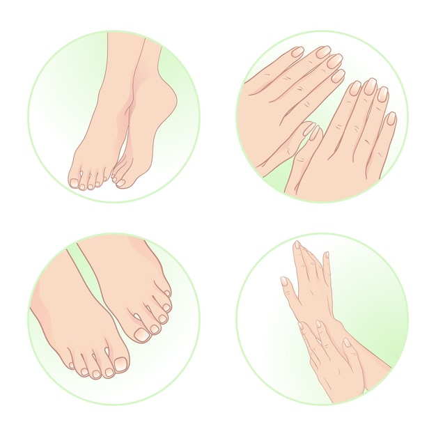 Lindas mãos e pés femininos manicure e pedicure Ilustração vetorial de design de conjunto de cuidados com o corpo