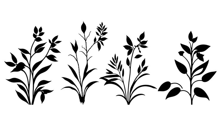 Vetor lindas plantas pequenas silhueta vetor plantas vetor conjunto de silhueta de planta