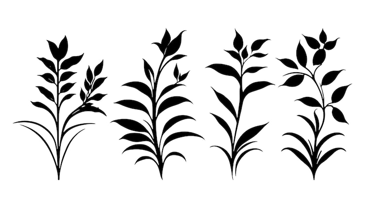 Vetor lindas plantas pequenas silhueta vetor plantas vetor conjunto de silhueta de planta
