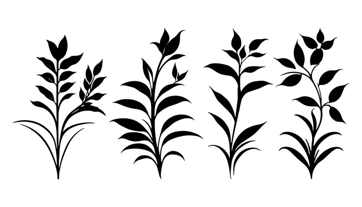 Vetor lindas plantas pequenas silhueta vetor plantas vetor conjunto de silhueta de planta