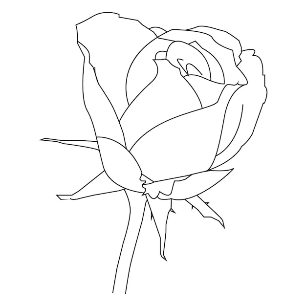 Desenho de Flores para Pintar - Educamais