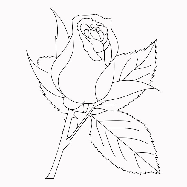 Desenho de Flores para Pintar - Educamais