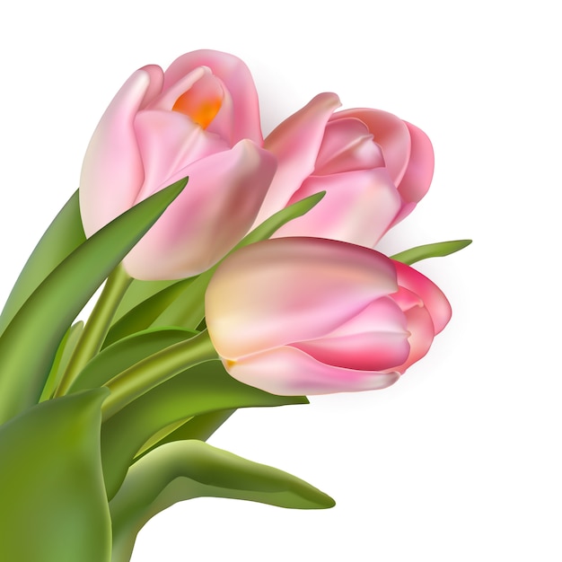 Lindo buquê de tulipas cor de rosa.