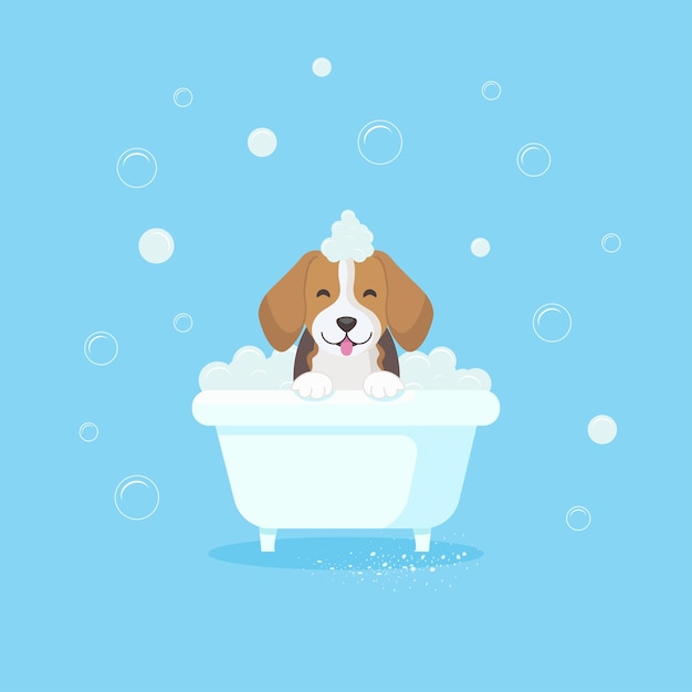 Vetor lindo cachorrinho beagle no banho