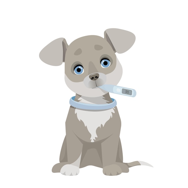 Lindo cachorrinho doente com um termômetro na boca