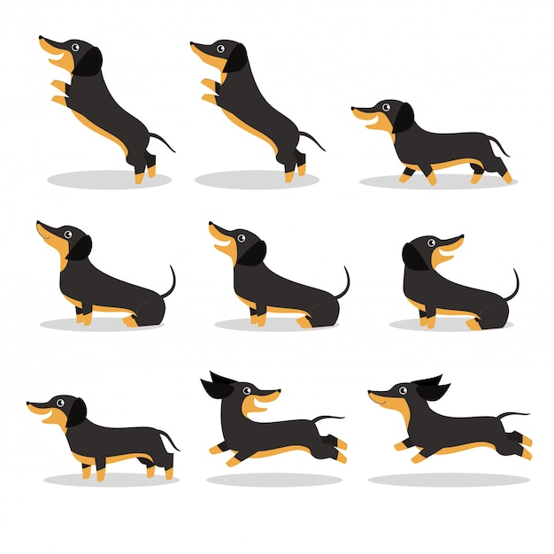 Vetor lindo cão bassê vector conjunto de ilustração