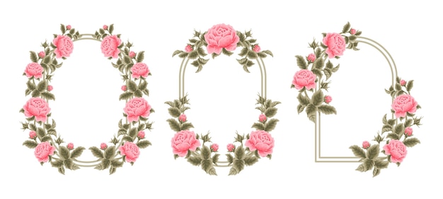 Vetor lindo conjunto de elementos de modelo de quadro de arco de casamento de flor rosa de jardim rosa vintage desenhado à mão