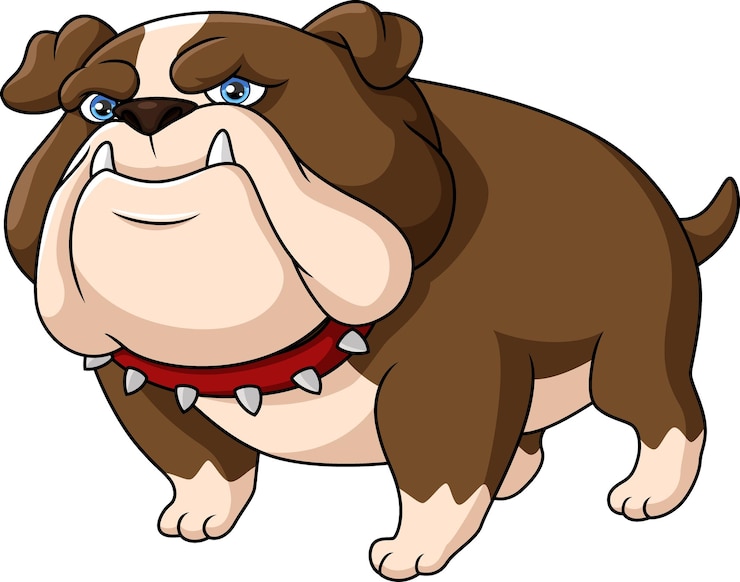 Vetor lindo desenho de bulldog em fundo branco