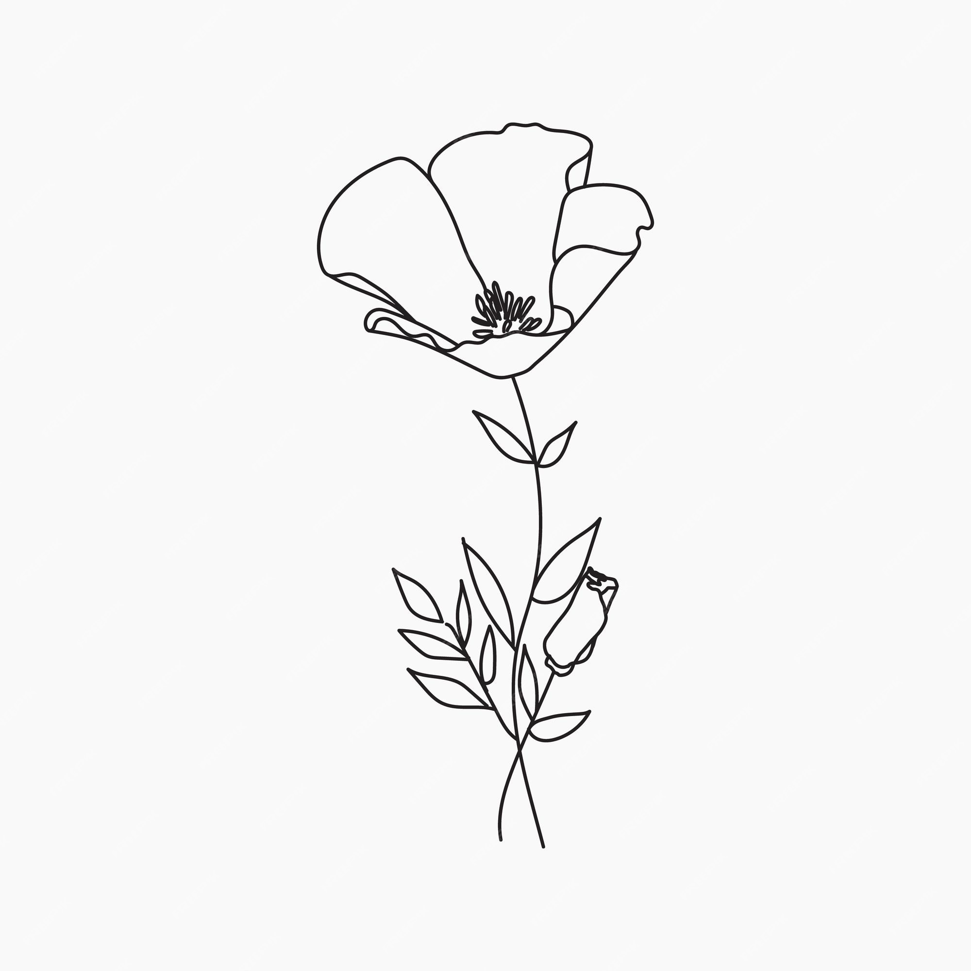 mão desenhar desenho de flores em preto e branco para livro de colorir  adulto. 8928441 Vetor no Vecteezy