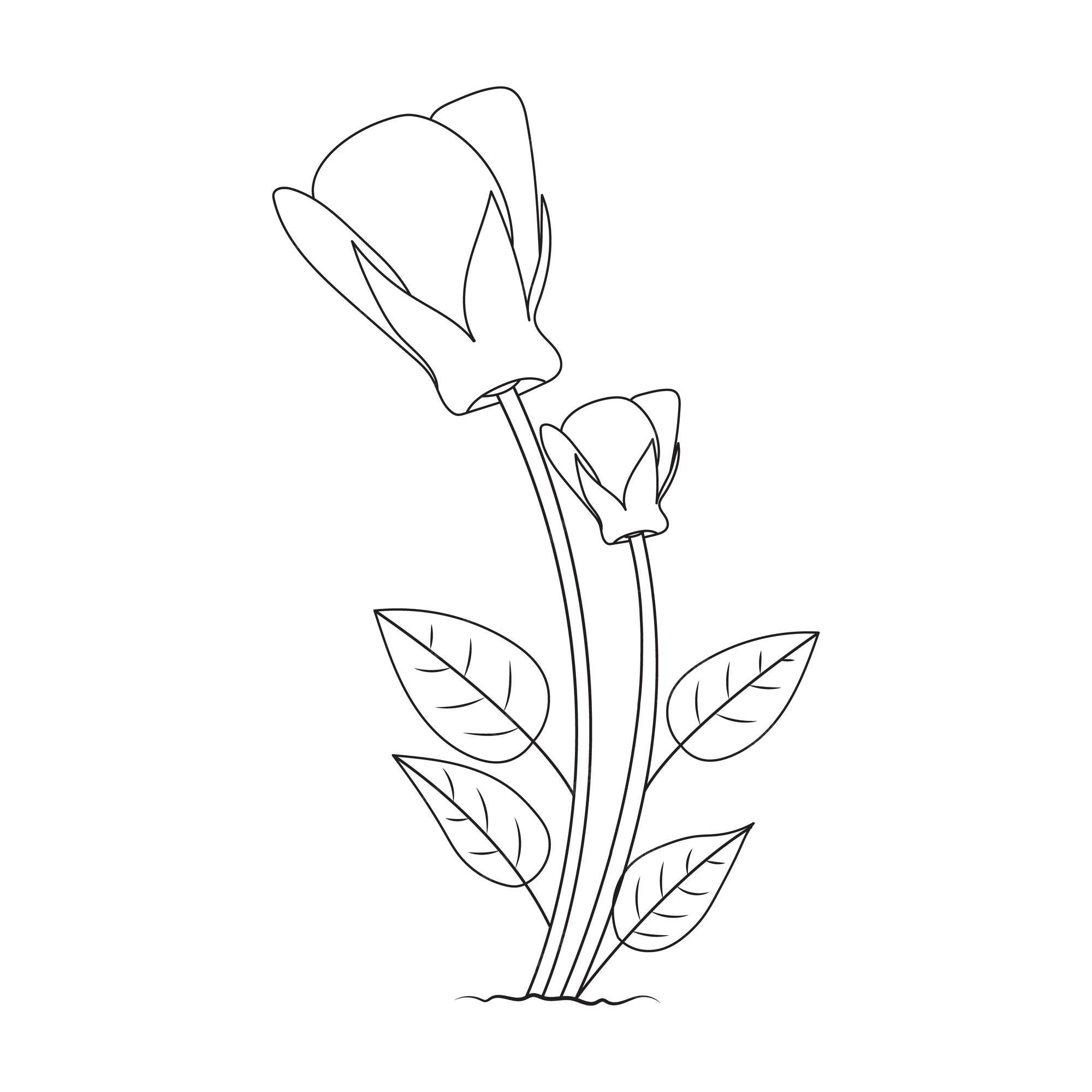 mão desenhar desenho de flores em preto e branco para livro de colorir  adulto. 8928441 Vetor no Vecteezy
