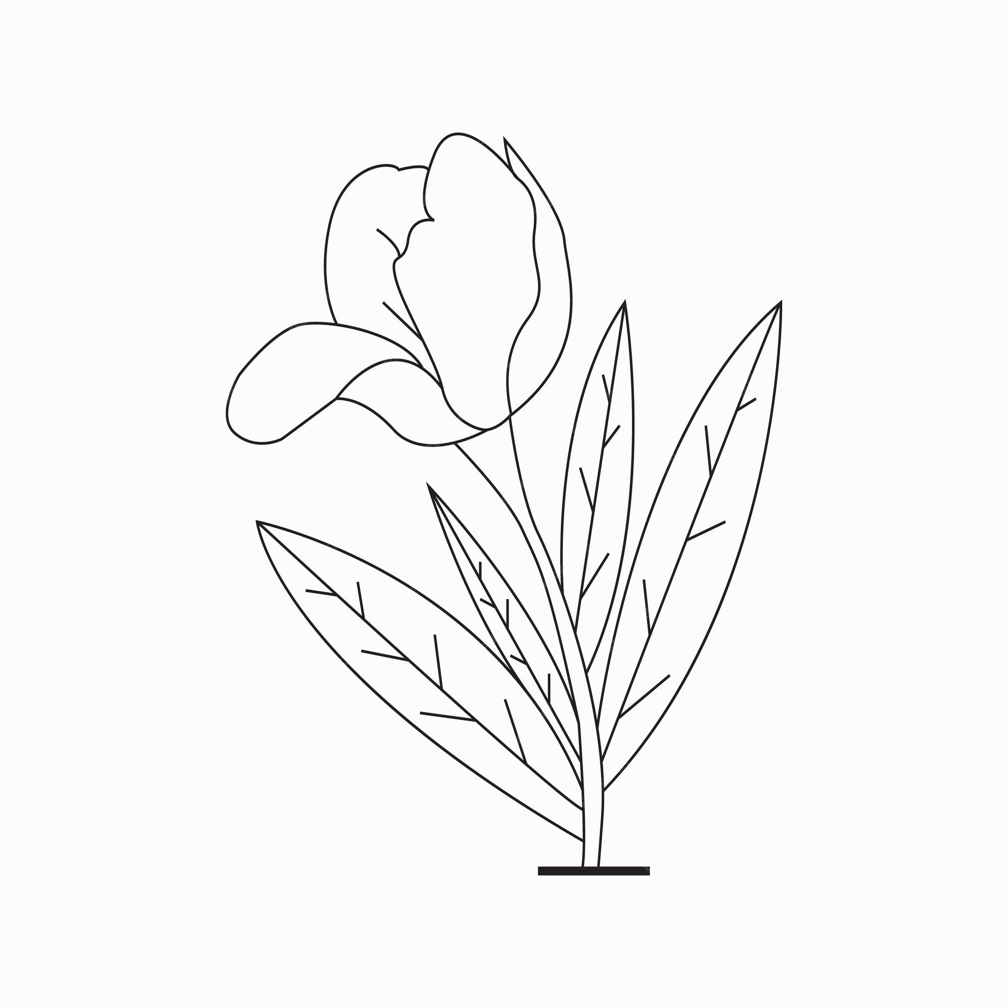 83 desenhos de flores para colorir